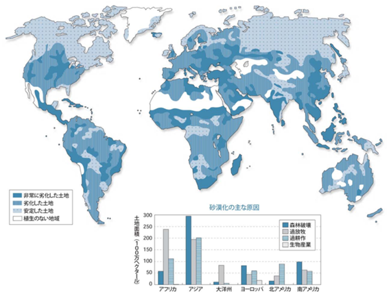 世界で広がりゆく砂漠化の原因とは 地球温暖化との関係を知り土地再生に取り組もう Hatch 自然電力のメディア