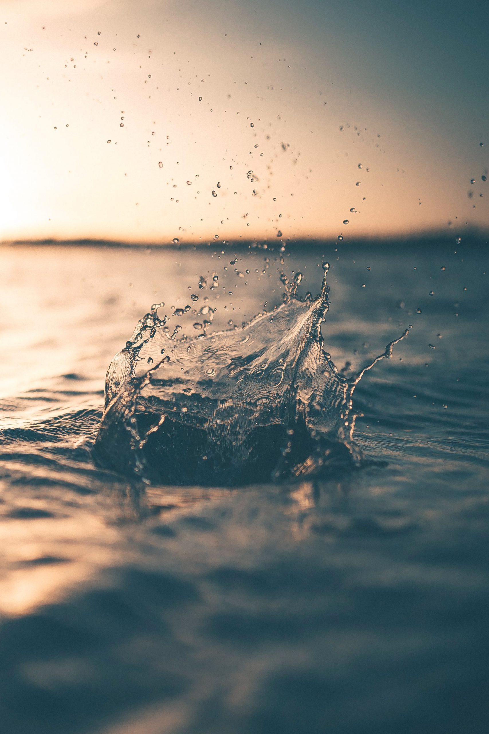 Co2を排出しない次世代エネルギー 水素利用でクリーンな社会を実現しよう Hatch 自然電力のメディア